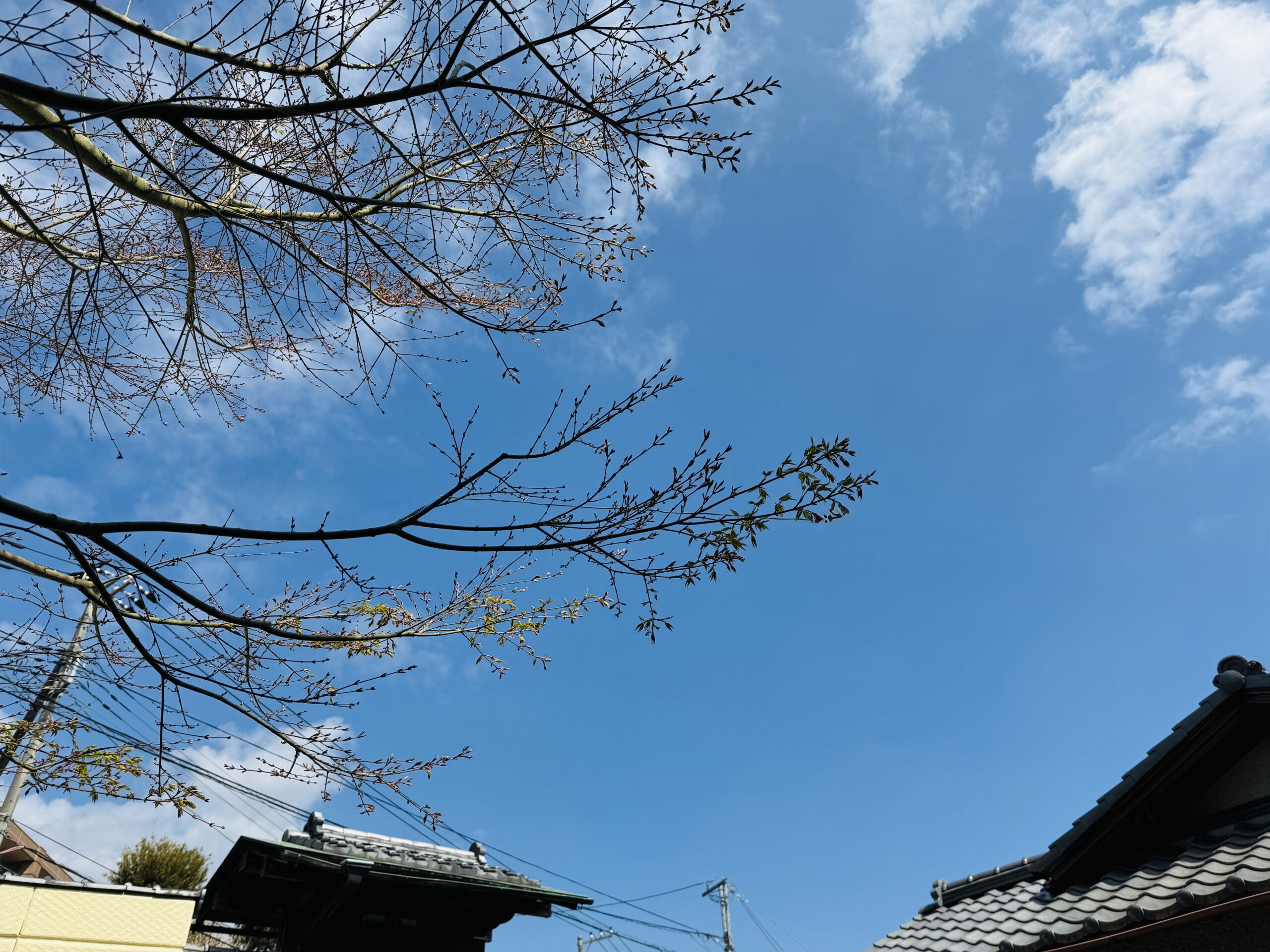 No.５　時間を贈る、おもてなしの原点